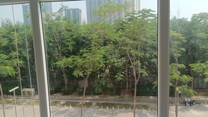 3 BHK Apartment – Garden View at Ace Starlit, Sector 152 - for Rent