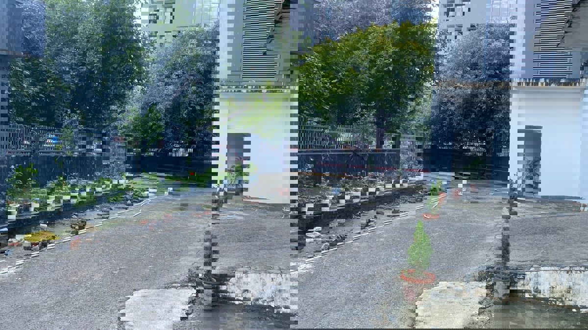 Land For Sale in Sector 69