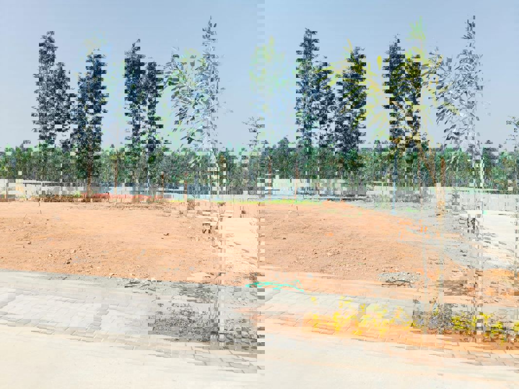 Plot For Sale in Kolar