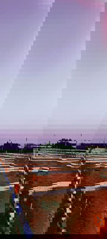 Plot For Sale in Hoskote