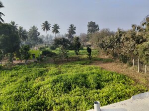  Plot For Sale in Devanahalli