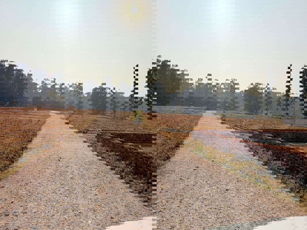 Plot For Sale in Badripur