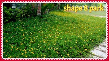 Plot Area in  Plot at Gauribidanur Road – for Sale