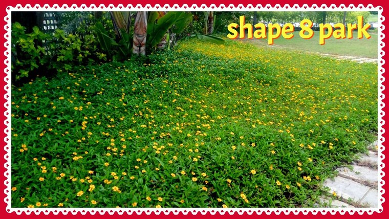 undefined, gauribidanur road  1200 Sq.Ft. Plot In Gauribidanur Road Bangalore 9750505