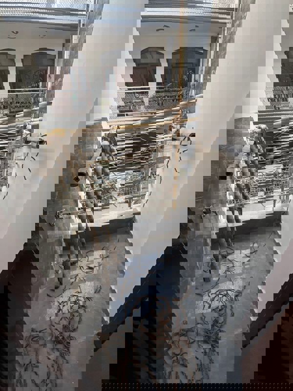 1 BHK + Pooja Room Apartment For Rent in Palm Residency Chhatarpur