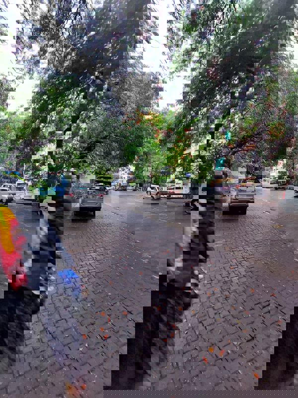 2 BHK Apartment For Rent in Manmohan Park