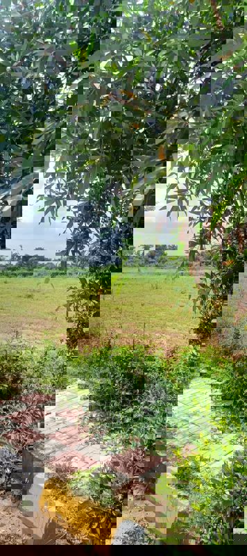 Plot For Sale in Fortune Butterfly City