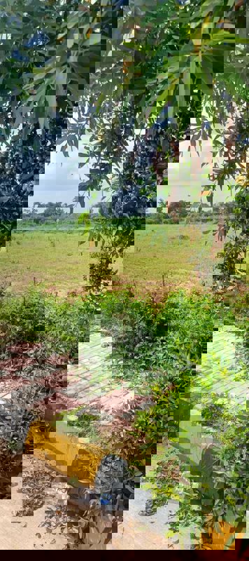 Plot For Sale in Fortune Butterfly City