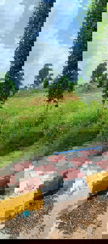 Plot For Sale in Fortune Butterfly City