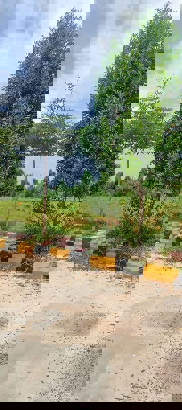 Plot For Sale in Fortune Butterfly City