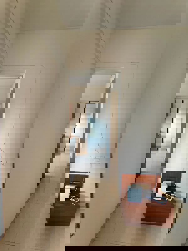 1 BHK Apartment For Rent in Baner