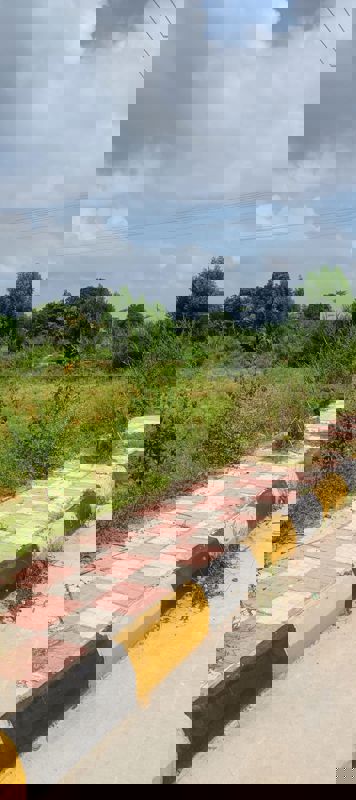 Plot For Sale in Fortune Butterfly City