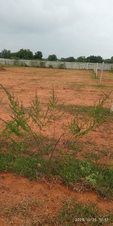 Plot Area in  Plot at Moinabad – for Sale