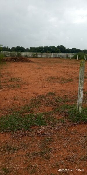 Plot Area in  Plot at Moinabad – for Sale