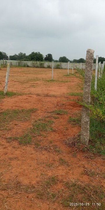  Plot For Sale in Moinabad