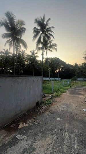 Plot Area in  Plot at Kuttoor – for Sale