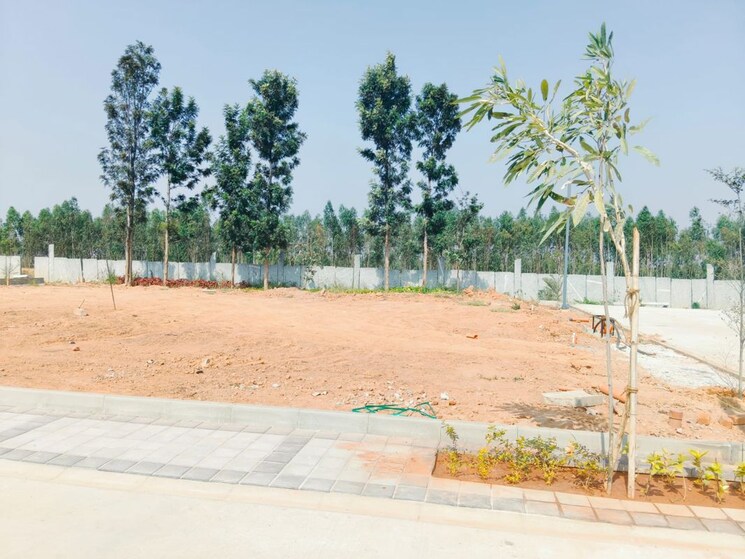 undefined, vr-royal-township  1200 Sq.Ft. Plot In Hoskote Bangalore 9750995