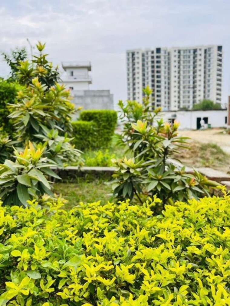 Garden, wing-lucknow-greens-plots  1456 Sq.Ft. Plot In Sultanpur Road Lucknow 9751032
