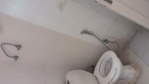 Bathroom in 3 BHK Apartment at Tulip White, Sector 69 – for Rent