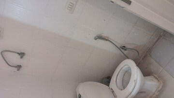 Bathroom in 3 BHK Apartment at Tulip White, Sector 69 – for Rent