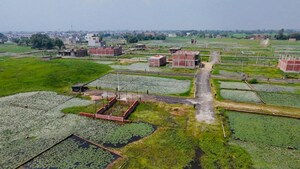 Plot Area in  Plot at Mohanlalganj – for Sale