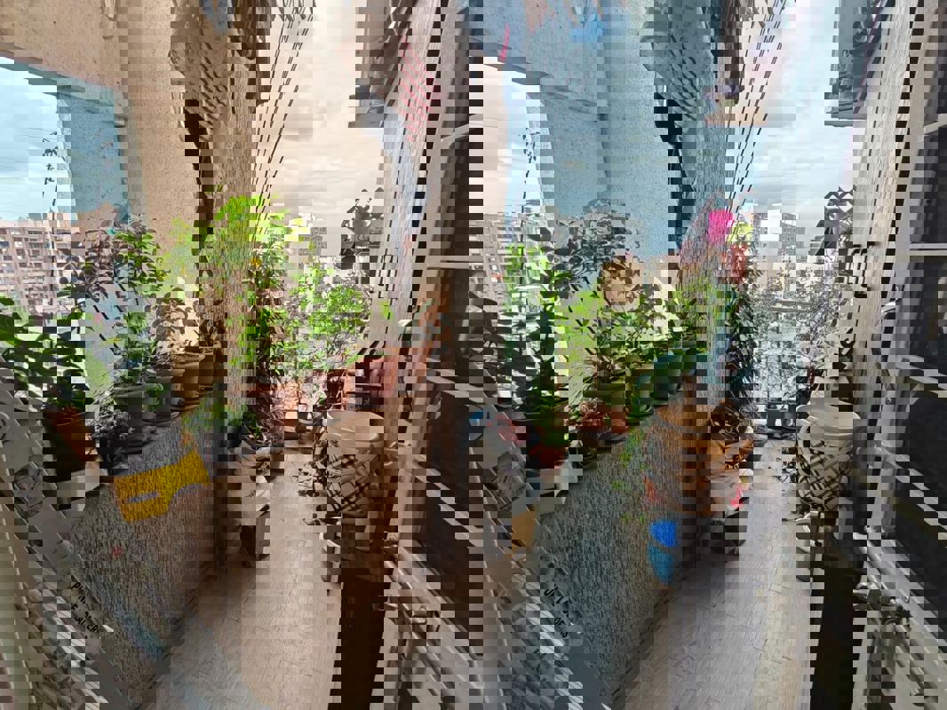 2 BHK + Pooja Room 1150 Sq.Ft. Apartment in Legacy Arena29 Phase I