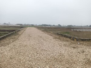 Plot Area in  Plot at Mohanlalganj – for Sale