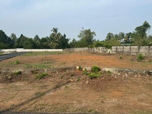 Plot Area in  Plot at Athani – for Sale