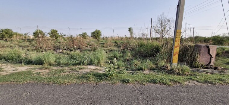 undefined, sector 3  252 Sq.Yd. Plot In Sector 3 Rohtak 9751286