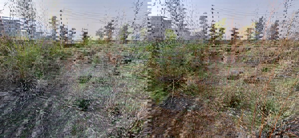 Plot For Sale in Sector 3