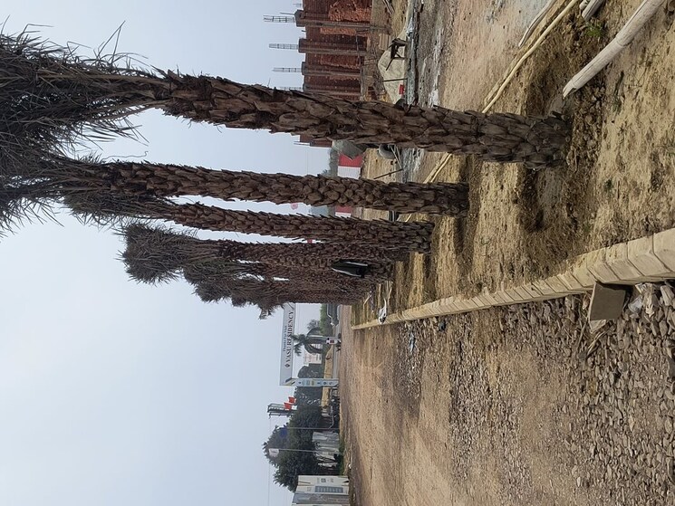 Exterior View, bhatipura  200 Sq.Yd. Plot In Bhatipura Meerut 9751351