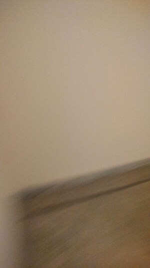 Furnished Amenities in 3 BHK Independent House at Sector 41 – for Rent