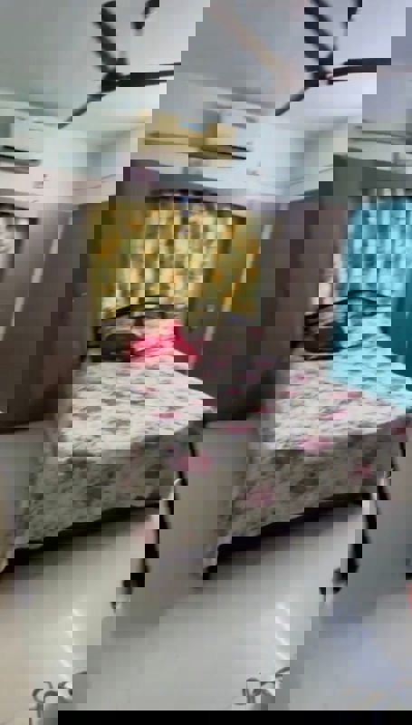 2 BHK Apartment For Rent in Kothrud