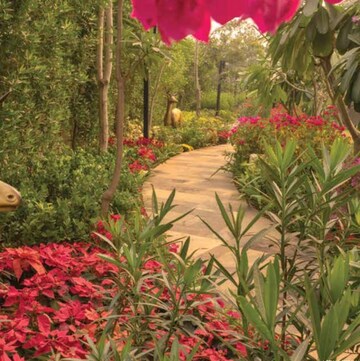 3 BHK Apartment – Garden View at Sector 37d - for Sale