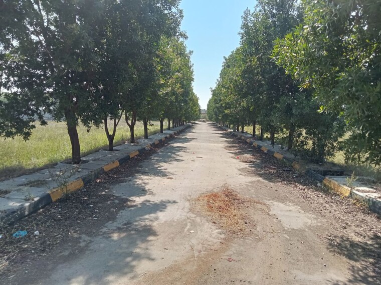 Exterior View, srika-lr-song-of-the-south  240 Sq.Yd. Plot In Mansanpalle Hyderabad 9751546