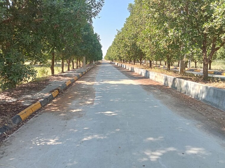 Exterior View, srika-lr-song-of-the-south  240 Sq.Yd. Plot In Mansanpalle Hyderabad 9751546