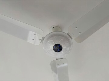 3 BHK Apartment For Rent in VJ Yashwin Nuovo Centro, Wakad