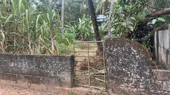 Plot For Sale in Viyyur