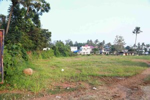 Plot Area in  Plot at Puthukkad – for Sale