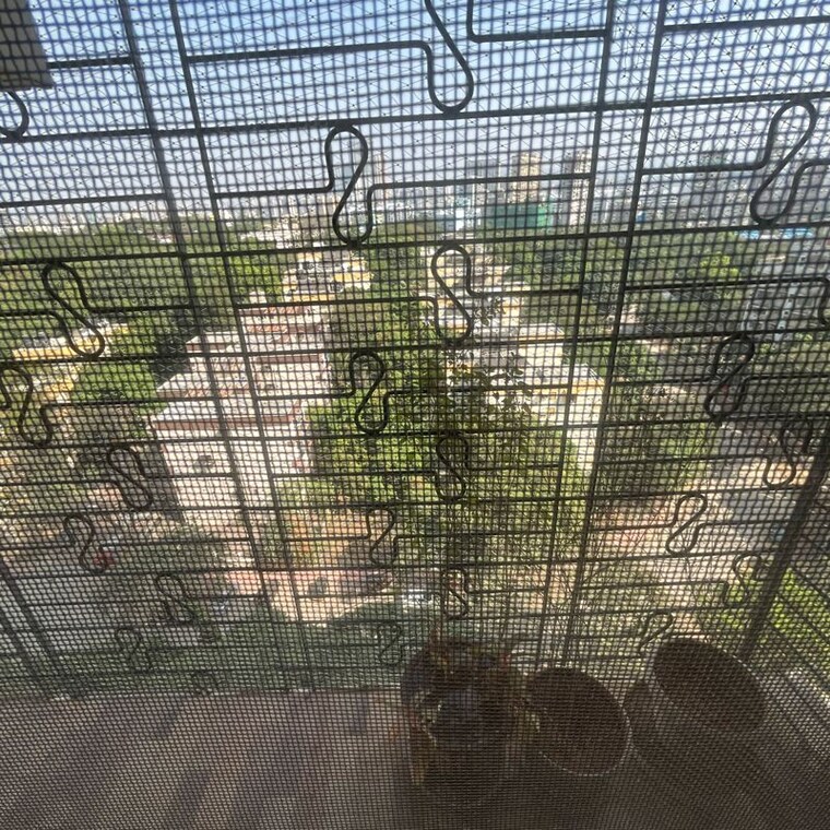 Balcony, santvani-tower 3 Bedroom 1575 Sq.Ft. Apartment In Lic Colony Mumbai 9751892
