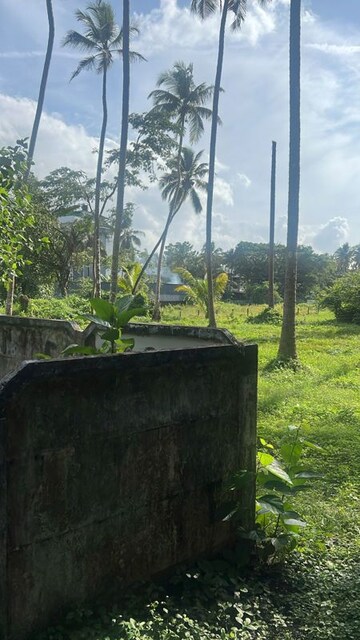  Plot – Garden View at Cheroor - for Sale