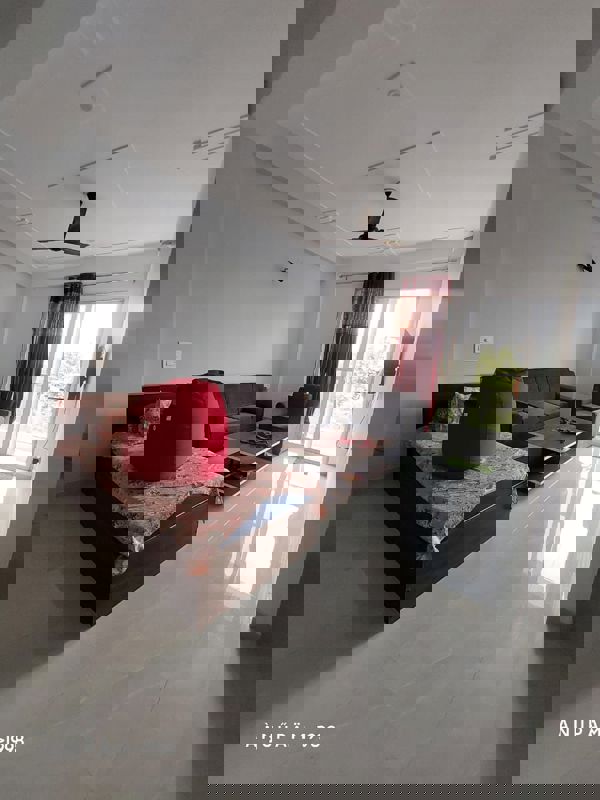 2 BHK + Pooja Room Builder Floor For Rent in Palam Vihar