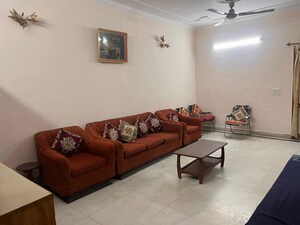 3 BHK Apartment For Rent in Trishla City, Patiala Road