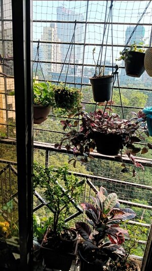 1 BHK Apartment – Exterior View View at Mulund East - for Rent