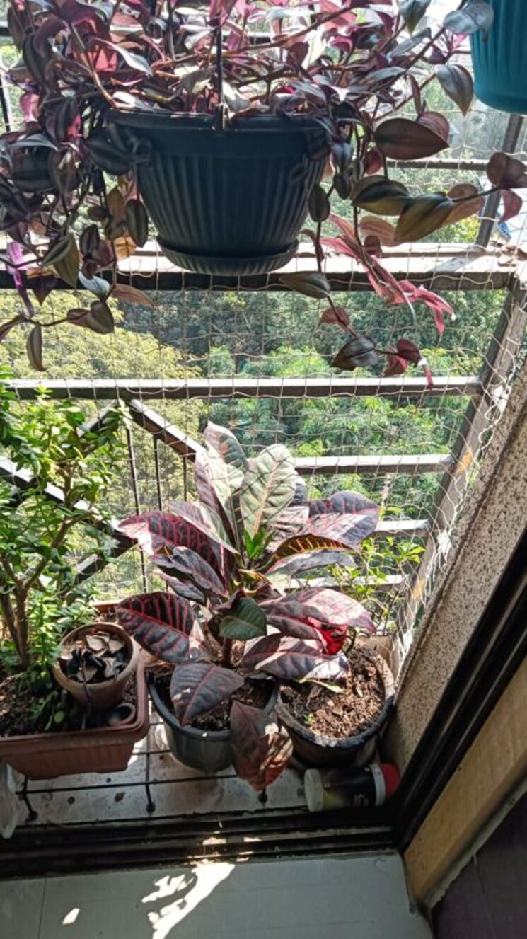 Exterior View, mulund east 1 Bedroom 420 Sq.Ft. Apartment In Mulund East Mumbai 9752066