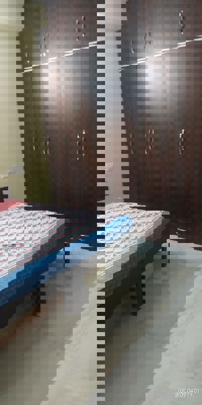 3 BHK + Pooja Room Builder Floor For Rent in Sector 23A