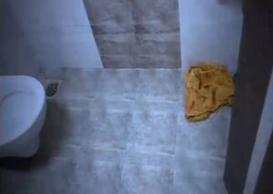 Bathroom in 2 BHK Apartment at Kandarpada – for Sale