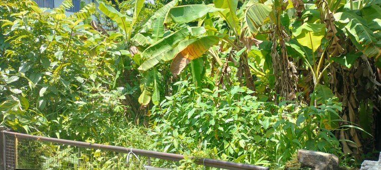 undefined, west fort  4356 Sq.Ft. Plot In West Fort Thrissur 9752349