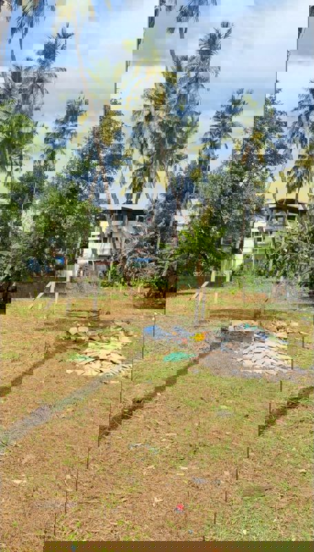 Plot For Sale in Ayyanthole