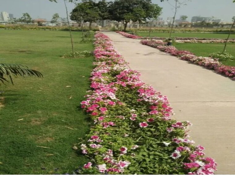 Garden, sector 65  2250 Sq.Ft. Plot In Sector 65 Gurgaon 9753072